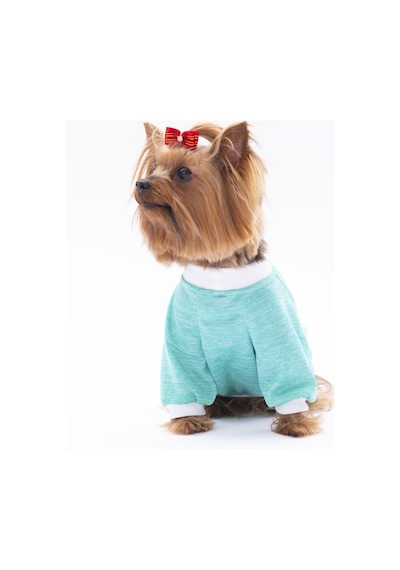Pawstar Mint Fun Day Kedi Köpek Sweati Kıyafeti