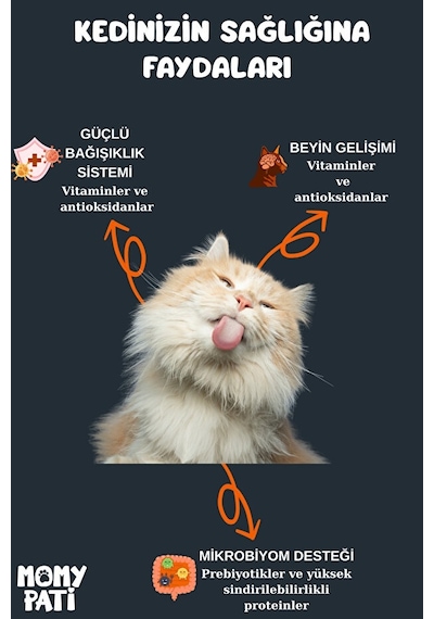 Momy Pati Tavuklu Kedi Maması 1200 Gr Yetişkin Kediler Için