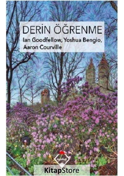 Derin Öğrenme Ciltli / Aaron Courville