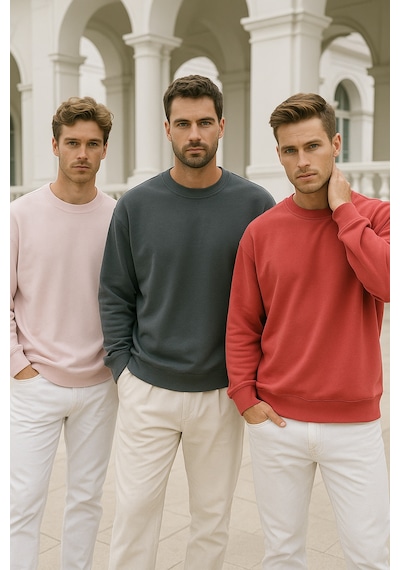 Rich Erkek 3'lü Paket Antrasit- Pudra- Nar Çiçeği Bisiklet Yaka Scuba Sweatshirt Antrasit