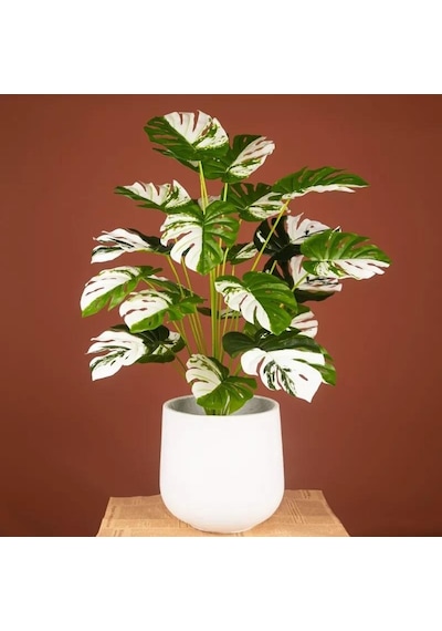 Yapay Çiçek Saksıda Monstera Yeşil Beyaz Deve Tabanı 12Dal 70cm S
