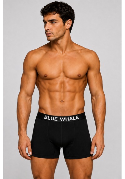 Blue Whale Erkek Premium Likralı Ultra Rahat 5'li Boxer Siyah