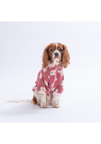 Avenra Bloom Ceket Çiçek Desenli Batik Kedi Köpek Ceketi Kedi Köpek Kıyafeti Kedi Köpek Elbisesi