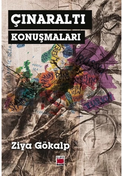 Çınaraltı Konuşmaları-sosyoloji