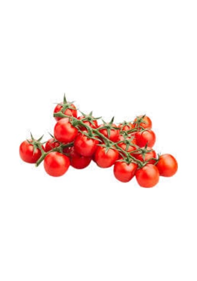 10 Adet Tohum Süper Paket Cherry Çeri Domates Tohumu Saksı Toprak Hediyeli