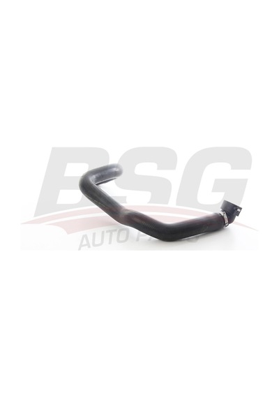 Bsg Radyator Hortumu Alt - Ducato Iıı 06-