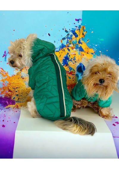 Luxy Green Köpek Montu, Köpek Ceketi, Köpek Dış Giyim