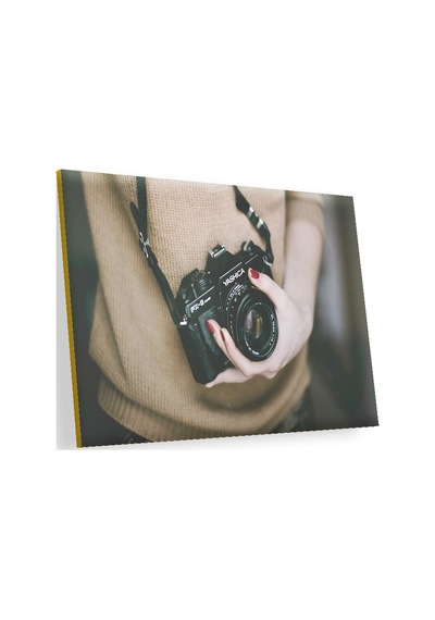 Cakasepetim Kadın Ve Fotoğraf Makinesi Ahşap Mdf Tablo
