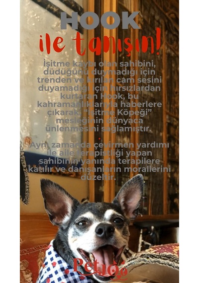 Petjoo 7.Hook Kırmızı-Gri Qr'lı Köpek Künyesi