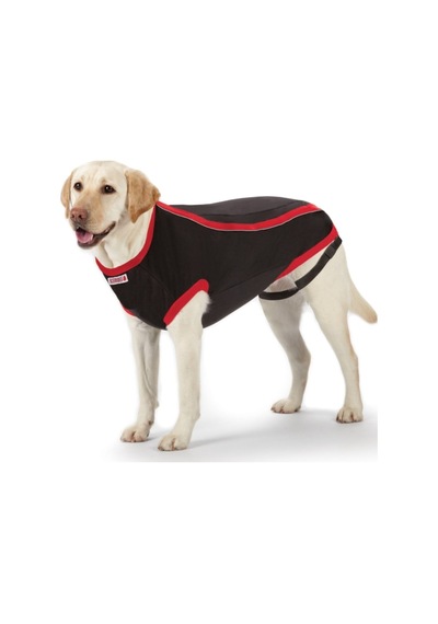 Kong Köpek  Elbise Siyah XS
