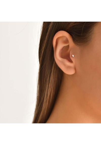 Coco Major Tragus