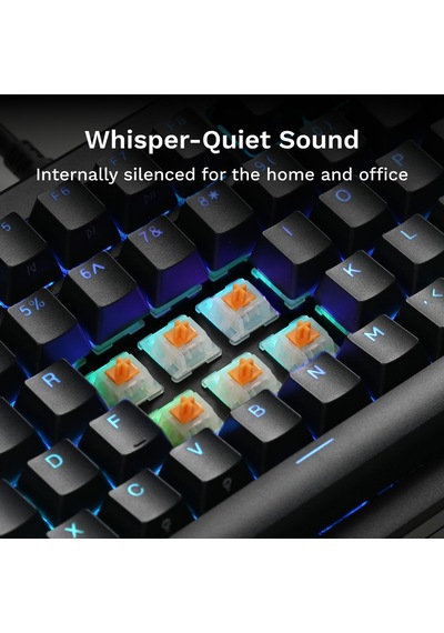 Mx Panda Tactile Yağlanmış 36 Adet Switch