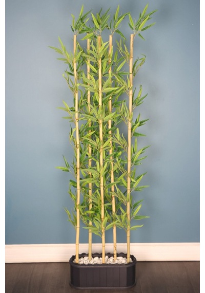 Yapay Çiçek Deposu Dekoratif Saksıda Kırçıllı Yaprak 5 Çubuklu Bambu Seperatör 20x50x200cm