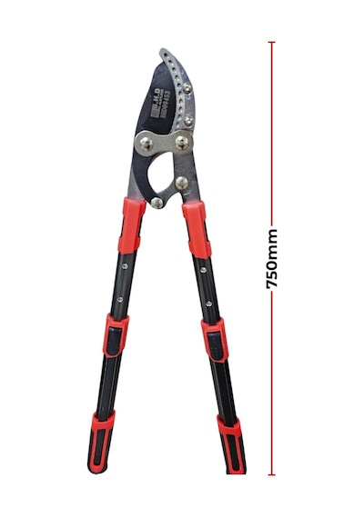 Fixonic B.h.d Bhd00453 5cm Teleskopik Sap Uzatmalı Sap Dal Biçme Makası