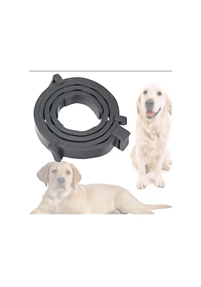 Mucit Home Köpek Pire Ve Bit Kovucu Engelleyeci Tasma Boyunluk 62 Cm Çok Renkli