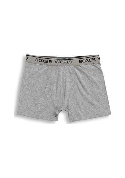 3'Lü Erkek Likralı Boxer 14100-A3