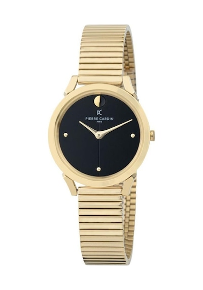 Pierre Cardin CPI.2529 Kadın Kol Saati