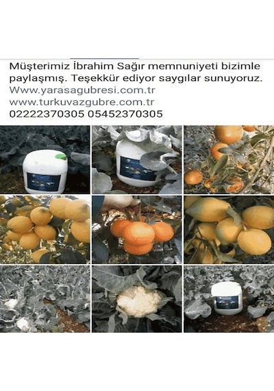5 L Turkuvaz Bat Power Organik Sıvı Yarasa Gübresi