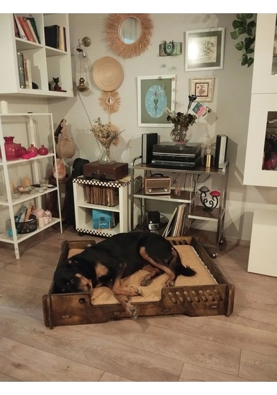 Köpek Yatağı 70 100 Cm Bilboa Rahat Ve Yıkanabilir Minder Yatak Dahil