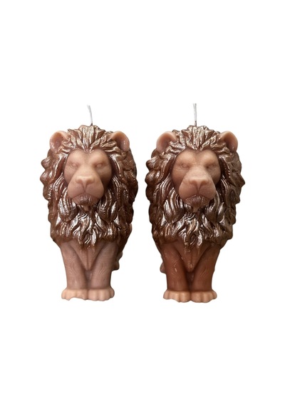 Aslan Mum 2 Li Çikolata Kokulu Bej
