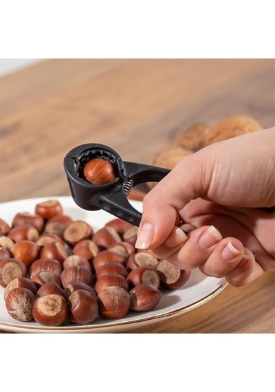 Ceviz Kıracağı Ve Fındık Kıracağı