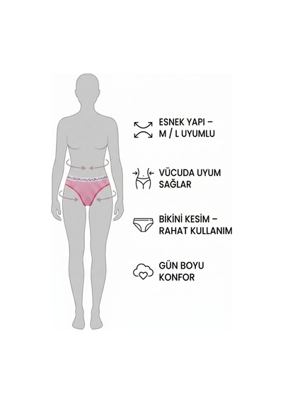 6 Lı Kadın Çizgili Karışık Renk Pamuklu Bikini Külot With Love 001