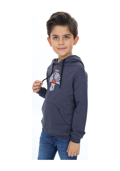 Toontoy Kids Erkek Çocuk Relax Fit Kapüşonlu Cepli Hafif Düşük Omuz Baskılı Sweatshirt Füme