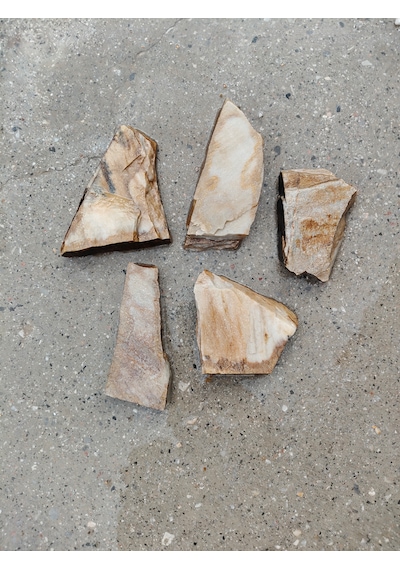 Akvaryum Sarı Kayrak Doğaltaş Kaya 5 Adet 5-15 Cm Bahçe Peyzaj Dekorasyon Süsü