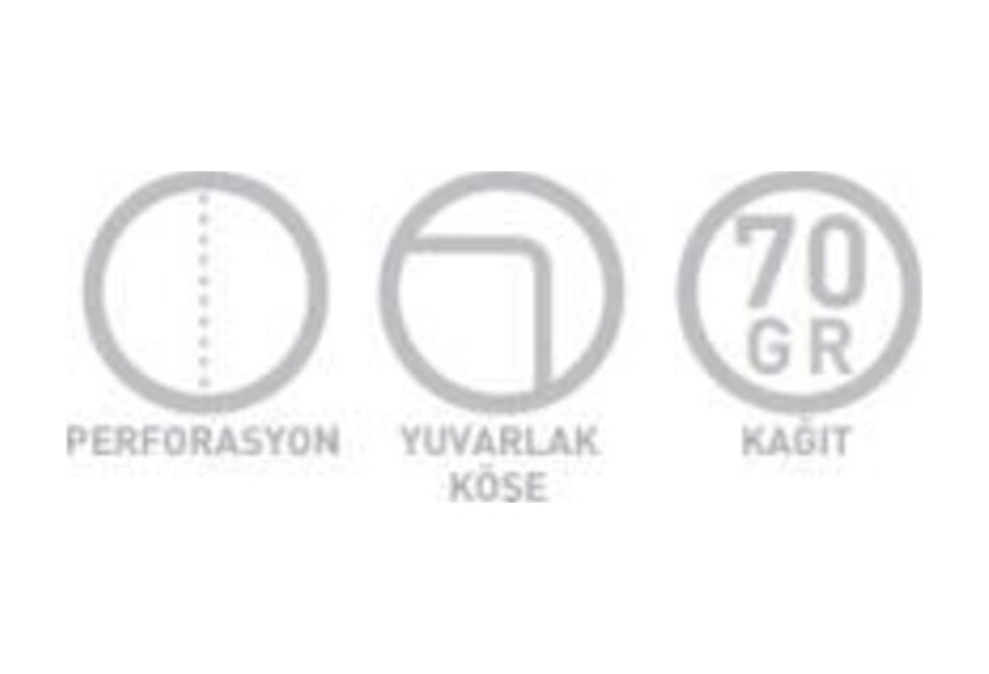 Camper A4 Spiralli Karton Kapak Defter 80 Yaprak Kareli 4 Lü Paket 4326