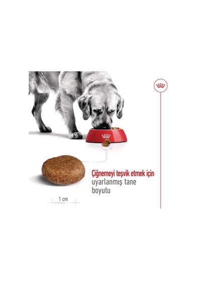 Royal Canin Shn Maxi Mature +5 Yaşlı Köpek Maması 15 KG