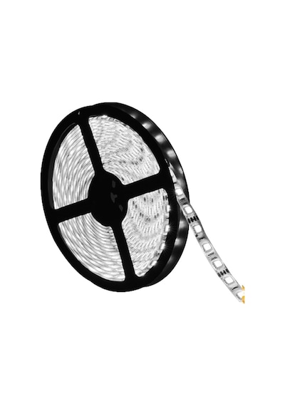 8mm 120 Led İç Mekan Ip20 24v Günışığı Şerit Led, 5 Metre