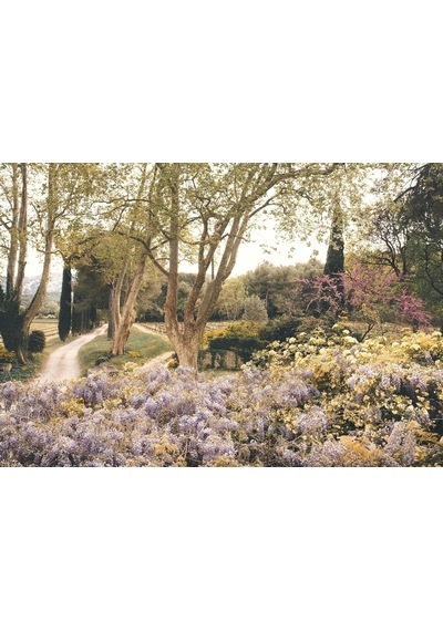 An American İn Provence: Art, Life And Photography