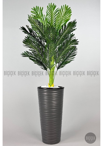 Biçiçek Areka Ağaci 150 Cm Antresi̇t Kumsal Saksıda Tek Gövdeli̇