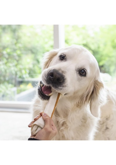 Delights L Boy Kemik, 85 Gr Köpek Ödülü