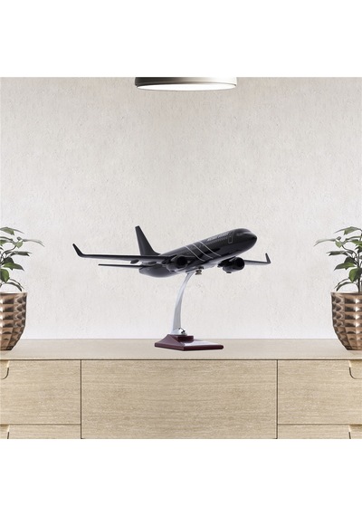 Zekupp - Maket Uçak - Boeing 737-800 1/100 - SİYAH ÖZEL TASARIM Model Uçak