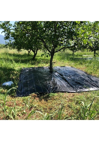 Zeytin Tırmığı + Zeytin Dilme Aparatı + Fırça Sapı + 5x6 Zeytin Sergeni Jüt Zeytin Toplama Tarağı Taban Örtüsü Zeytin Çizme Aleti