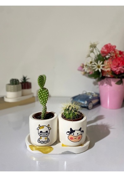 Tabaklı 2li Altın Inek Motifli Mini Saksı Seti