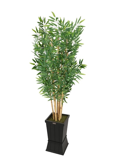 Yapay Çiçek Deposu Ahşap Saksıda Yapay Bambu Ağacı 9 Çubuklu 180 Cm
