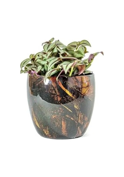 Dayanıklı Siyah Metal Saksı - 17x15 Cm -
