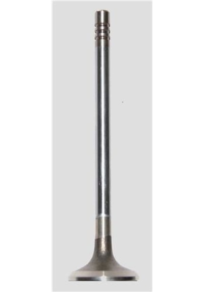 GÜNEŞ 0817-0818 GÜNEŞ SUBAP TAKIMI XSARA 1.6 8V TU5JP