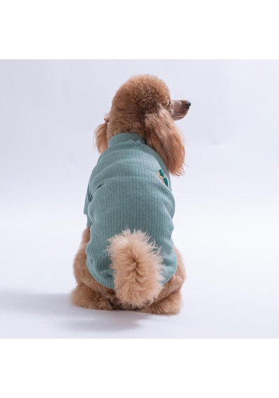 Yeşil Teddywood Ayıcık Nakışlı Esnek Sıcak Tutan Köpek Sweati Köpek Kıyafeti Kedi Kıyafeti