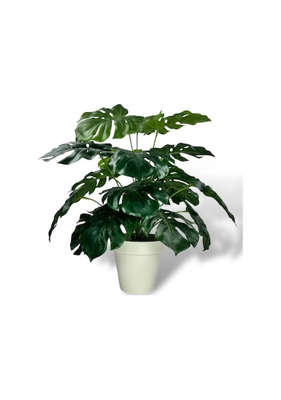 Yapay Çiçek Krem Saksıda Monstera Deve Tabanı Yeşil Doğal Dokulu 18dal 50cm Salon Çiçeği Yapay Bitki