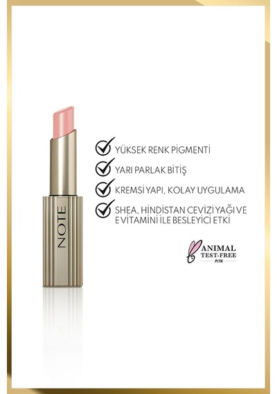 Aura Silk Lipstick 01 Cashmere Cloud Kremsi Yarı Parlak Ruj - Nude Diğer
