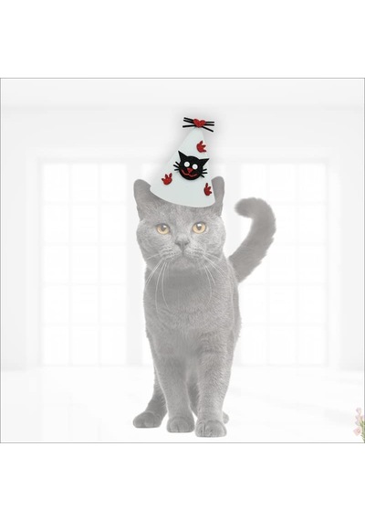 Süsle Bebek Ve Parti Kedi Doğum Günü Şapkası