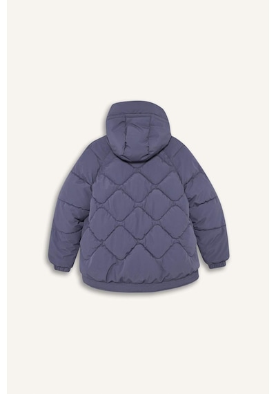 Defacto Defactofit Su İtici Oversize Fit Geniş Kalıp Kapüşonlu Fermuarlı Cepli Şişme Mont E9260ax25aupr492 Mor-pr492