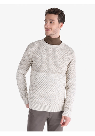 Colin's Colins Regular Fit Triko Gri Erkek Kazak Cl1066048 Bej
