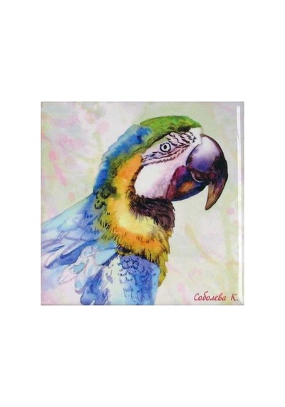 Sublimasyon Seramik Fayans 20x20 Cm