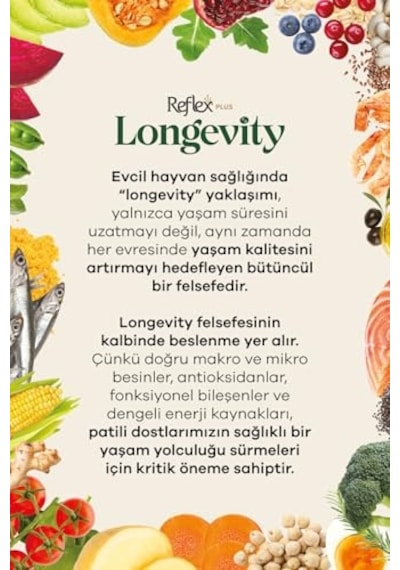 Plus Longevity Mini Ve Küçük Irk Yavru Köpek Sı 1700g 100 G
