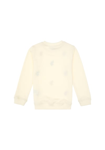 U.s. Polo Assn. Erkek Çocuk Sweatshirt 50316501-vr256 İnci