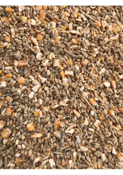 Mısır - Yumurta Yemi - Buğday - Arpa Karışımı 5-10-25 Kg